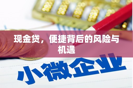寒亭现金贷，便捷背后的风险与机遇