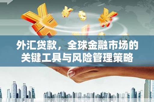 寒亭外汇贷款，全球金融市场的关键工具与风险管理策略