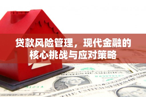寒亭贷款风险管理，现代金融的核心挑战与应对策略