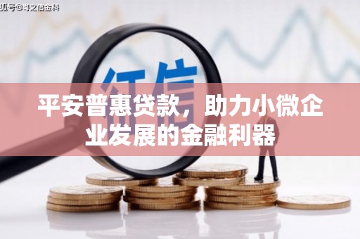 寒亭平安普惠贷款，助力小微企业发展的金融利器