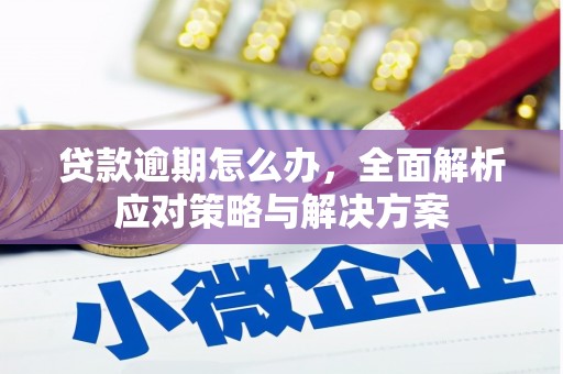 寒亭贷款逾期怎么办，全面解析应对策略与解决方案