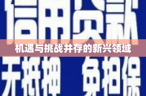 寒亭机遇与挑战并存的新兴领域