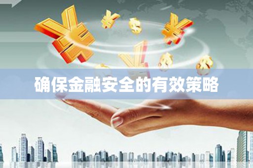 寒亭确保金融安全的有效策略