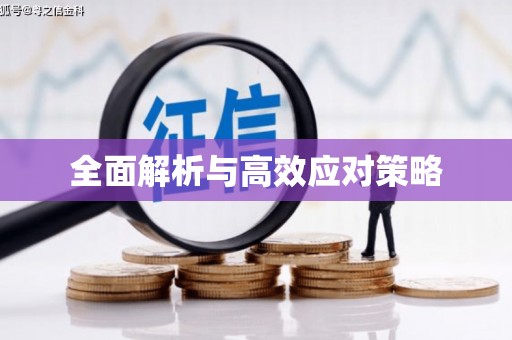 寒亭全面解析与高效应对策略